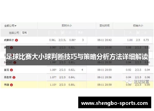 足球比赛大小球判断技巧与策略分析方法详细解读